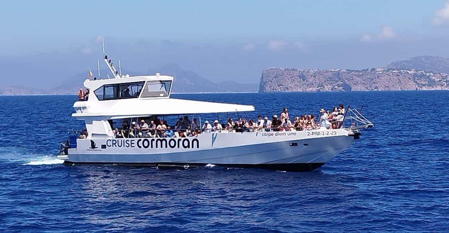 From Palma: Afternoon Dolphin-Watching Boat Tour - Key points at a glance