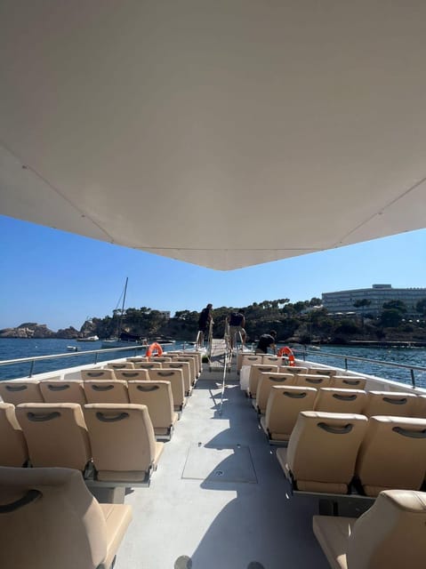 From Palma: Afternoon Dolphin-Watching Boat Tour - Practical tips for a smoother afternoon
