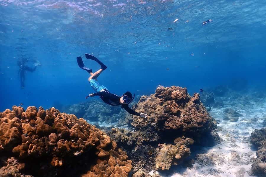 From Phuket: Racha & Maiton Island Dolphin Expedition - A long speedboat day from Phuket