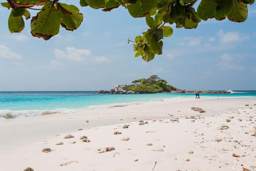 From Phuket: Racha & Maiton Island Dolphin Expedition - Maiton Island and the dolphin question