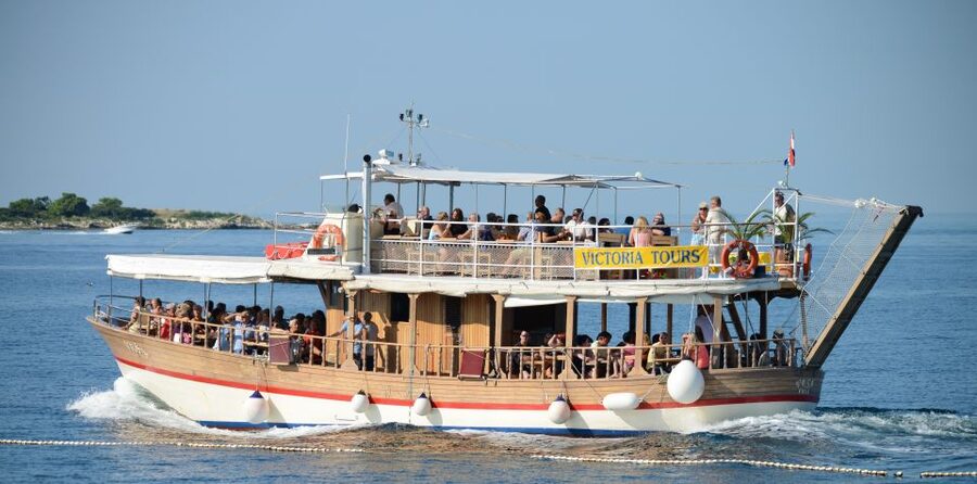 From Poreč: Evening Dolphin Cruise with Welcome Drink - Is $35 a fair price?