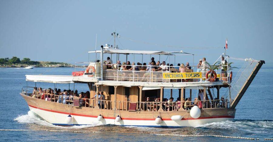 From Poreč: Evening Dolphin Cruise with Welcome Drink - Who will enjoy this cruise most?