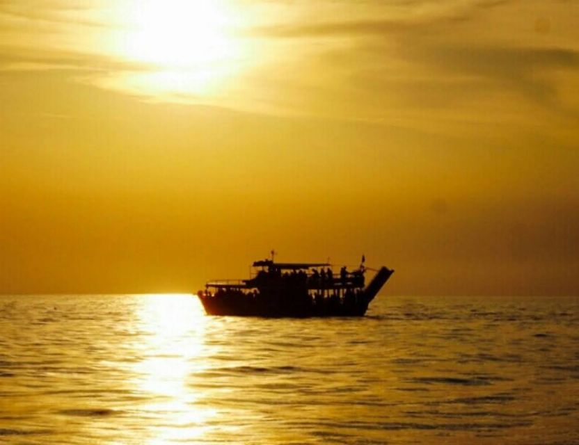 From Poreč: Evening Dolphin Cruise with Welcome Drink - Dolphin sightings and the question of boat traffic