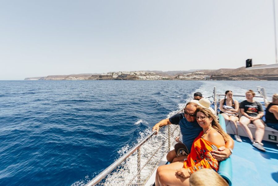 From Puerto Rico de Gran Canaria: Dolphin Watching Cruise - Responsible wildlife watching