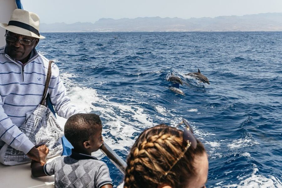 From Puerto Rico de Gran Canaria: Dolphin Watching Cruise - Seasickness: the issue you should take seriously