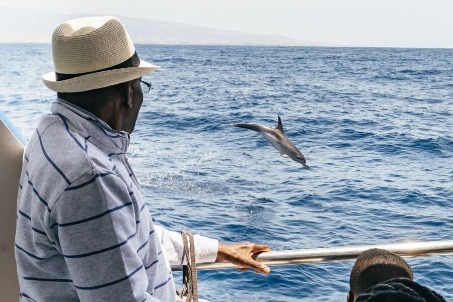 From Puerto Rico de Gran Canaria: Dolphin Watching Cruise - What the trip is worth at $47