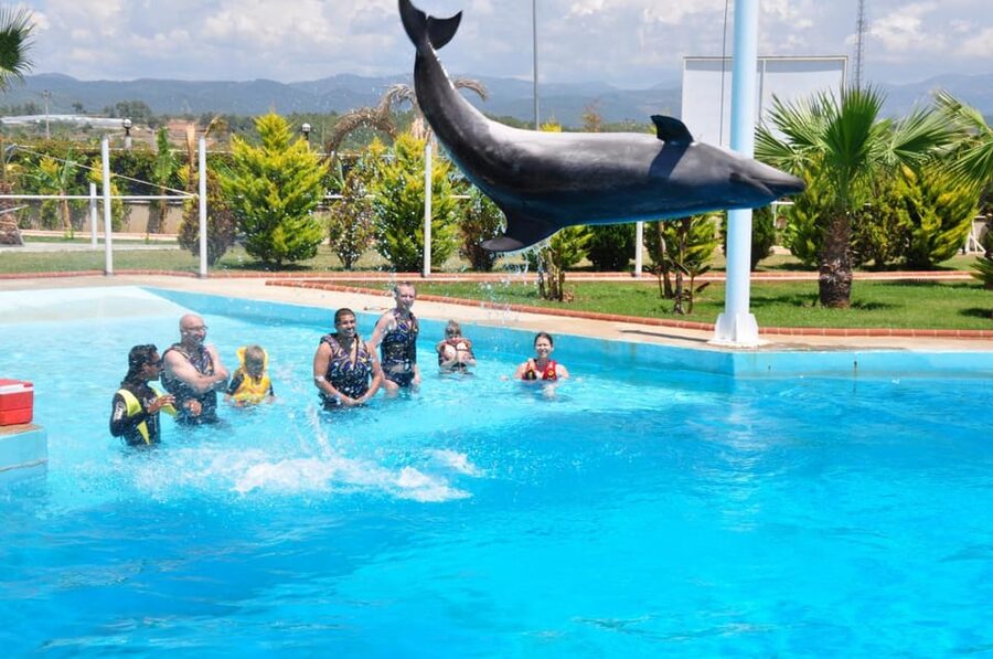 From Side Dolphin and Seal Show Ticket with Hotel Transfers - Should you book the Side dolphin and seal show?
