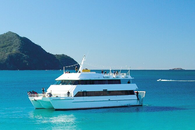 From Sydney: Port Stephens Dolphin, Koalas, Lunch & Sandboarding - Nelson Bay and the 90-minute dolphin cruise