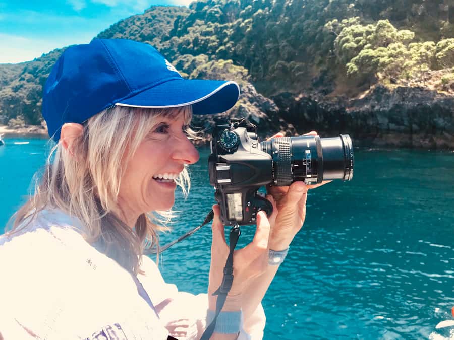 From Tauranga: Dolphin and Wildlife Cruise - From The Strand Wharf to Tauranga Harbour