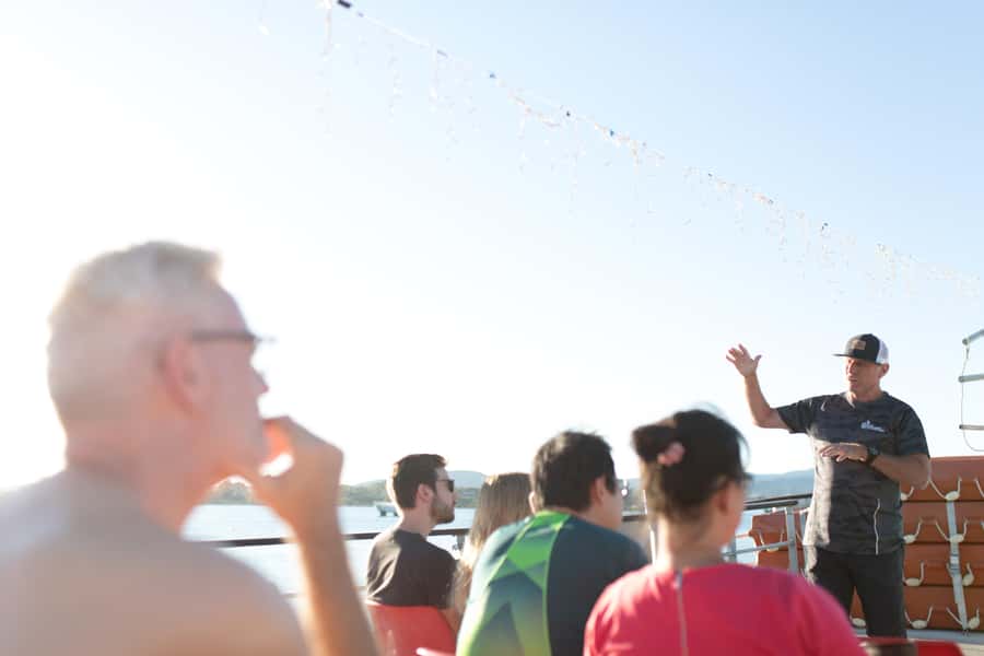 From Tauranga: Dolphin and Wildlife Cruise - Comfort, motion sickness, and what to pack