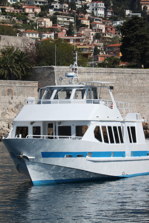 From Villefranche-sur-Mer: Guided Dolphin-Watching Tour - What the price includes at $80