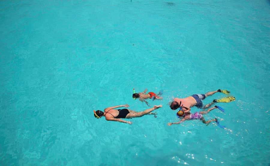 From Zanzibar: Mnemba Boat Tour with Snorkeling & Dolphine - Timing, comfort, and the real five-hour schedule