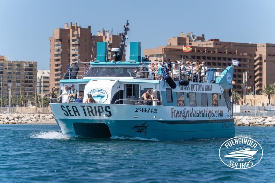 Fuengirola: Catamaran Tour to Spot Dolphins - Leaving from Fuengirola’s Port