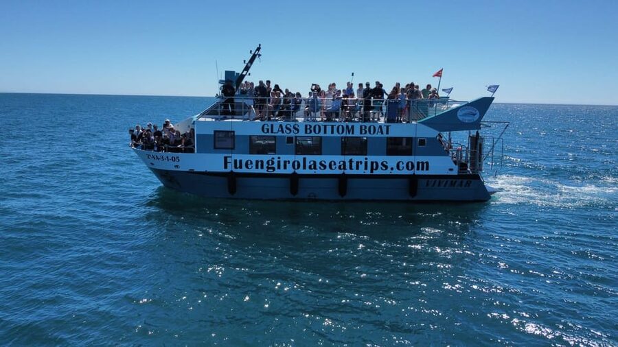 Fuengirola: Catamaran Tour to Spot Dolphins - A Two-Hour Ride Into Open Water