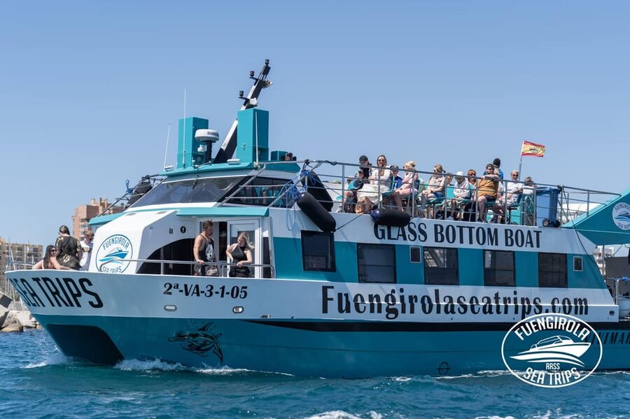 Fuengirola: Catamaran Tour to Spot Dolphins - The Catamaran’s Decks, Seats, and Facilities