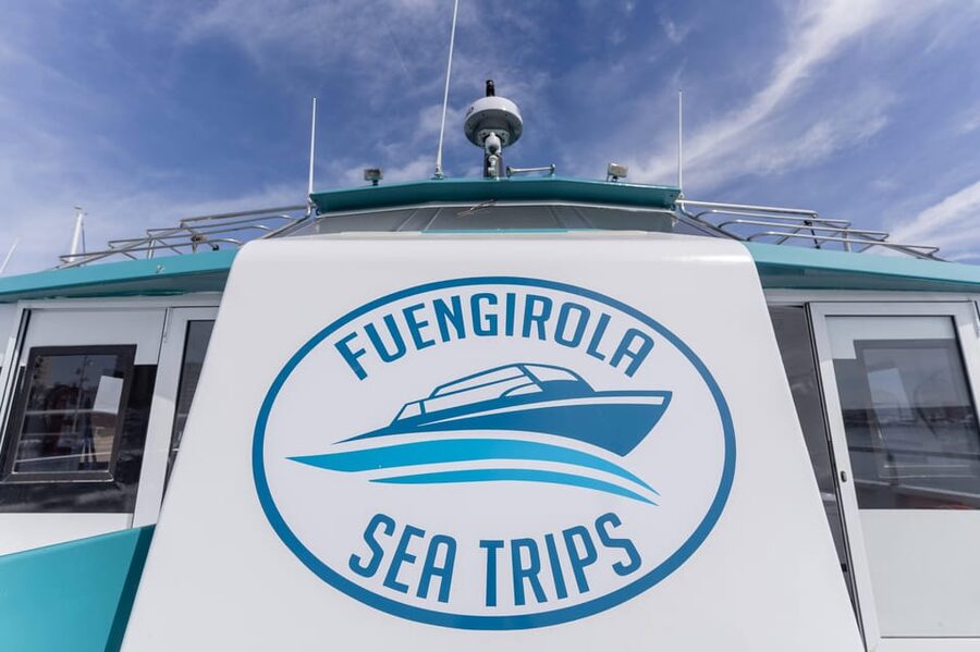 Fuengirola: Catamaran Tour to Spot Dolphins - Choosing the Best Departure Time