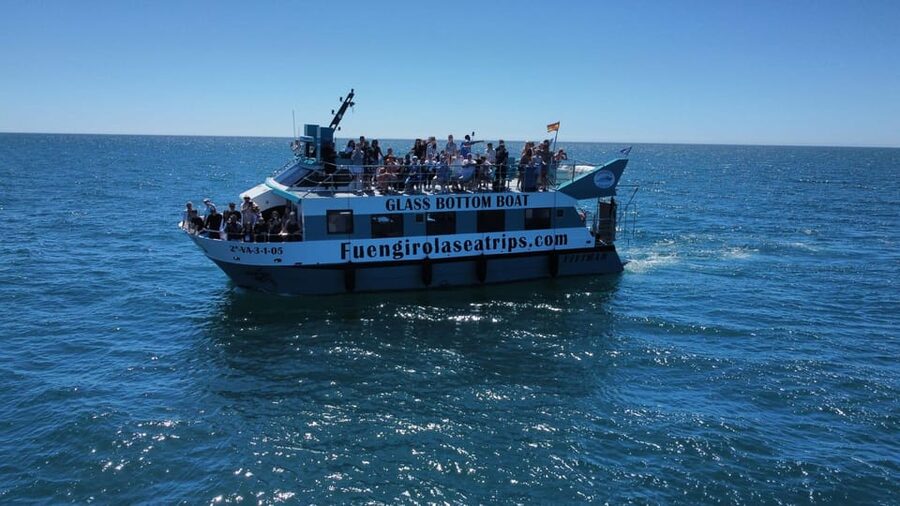 Fuengirola: Catamaran Tour to Spot Dolphins - Who Should Book This Cruise?