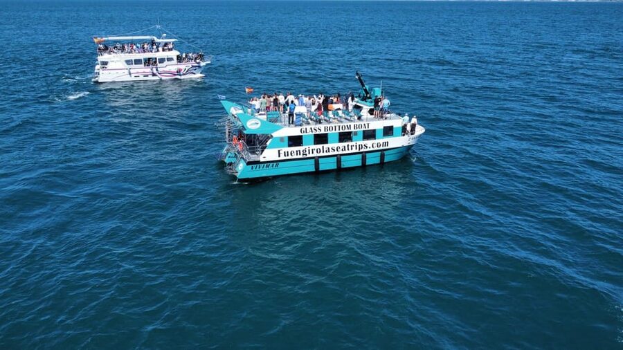 Fuengirola: Catamaran Tour to Spot Dolphins - Watching Dolphins in Their Natural Home