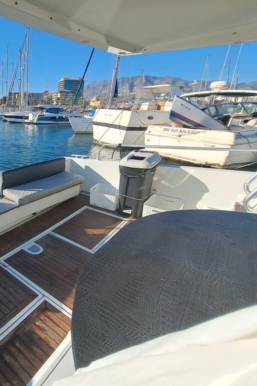 Fuengirola: Dolphin Spotting Tour - Key points at a glance
