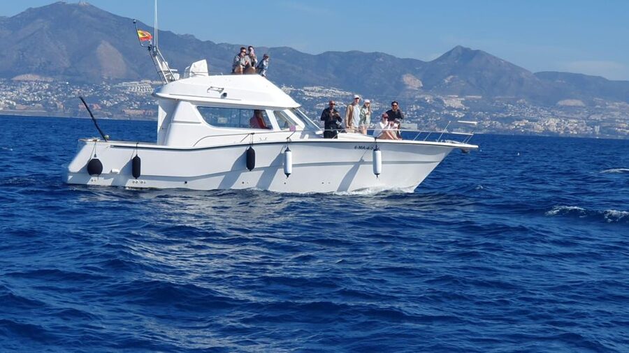 Fuengirola: Dolphin Watching Boat Trip — Fun for All Ages - Drinks, snacks, and the possible swim stop