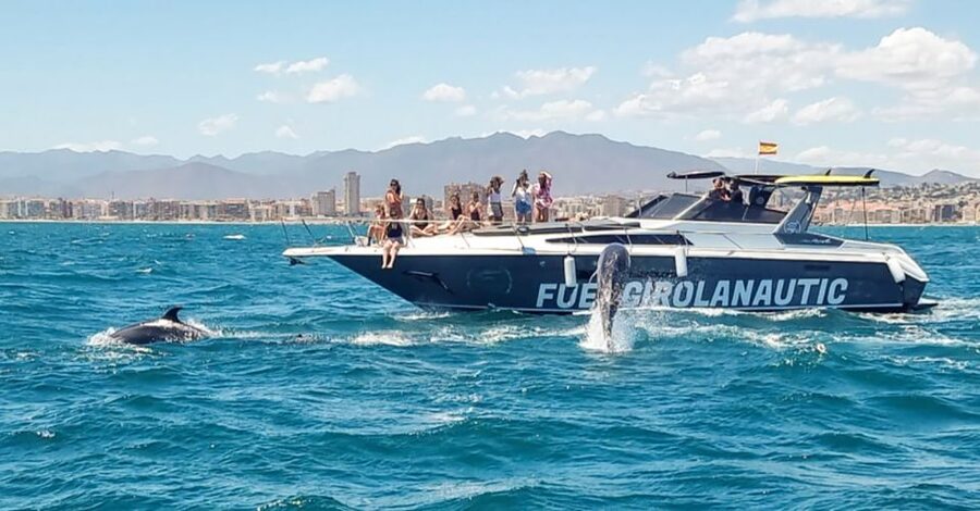 Fuengirola: Dolphin Watching by Yacht with Snacks and Drinks - Accessibility and Practical Details