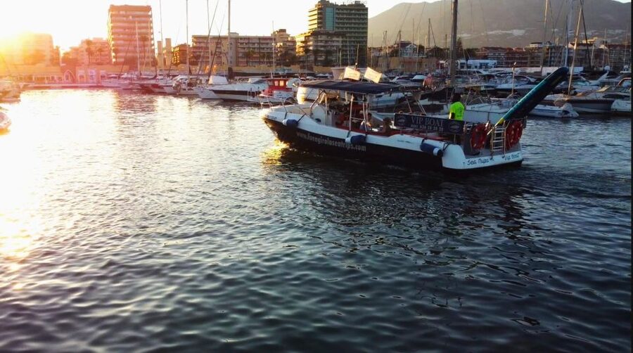 Fuengirola: Fantastic Dolphin Watching Yacht Tour with Drink - The final call on this Fuengirola yacht trip