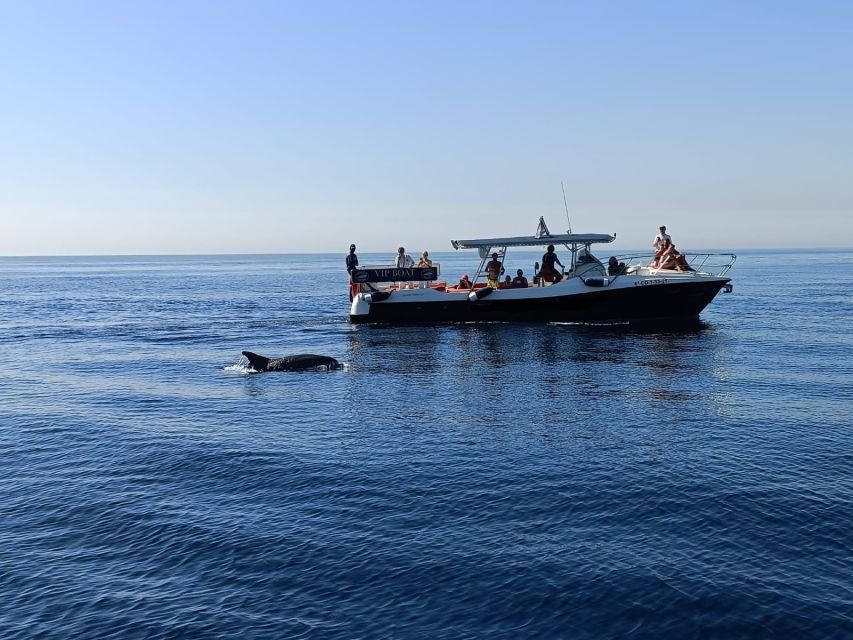Fuengirola: Fantastic Dolphin Watching Yacht Tour with Drink - Drinks, seating, and the practical comfort level
