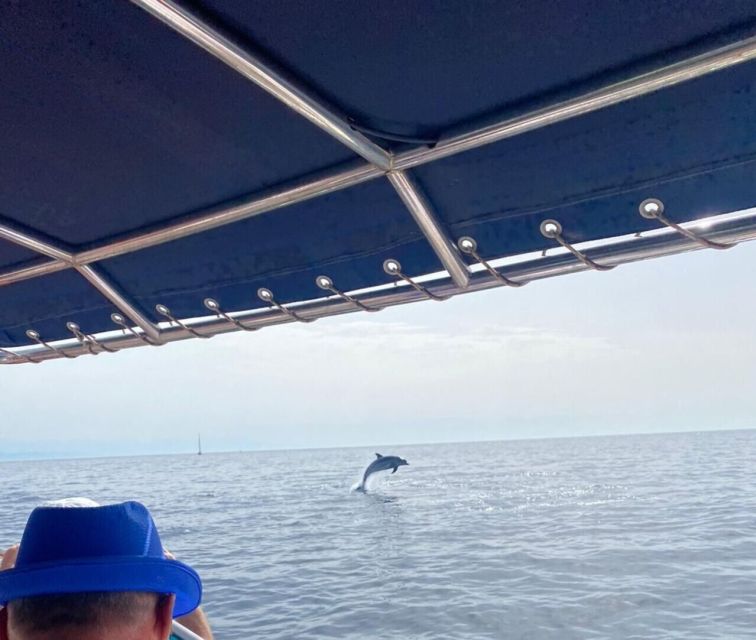 Fuengirola: Fantastic Dolphin Watching Yacht Tour with Drink - Who will enjoy this most