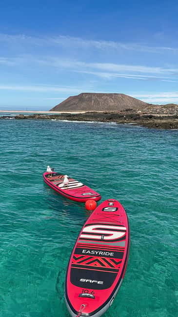 Fuerteventura: Dolphin watching and Lobo Island Combo Cruise - Key points at a glance