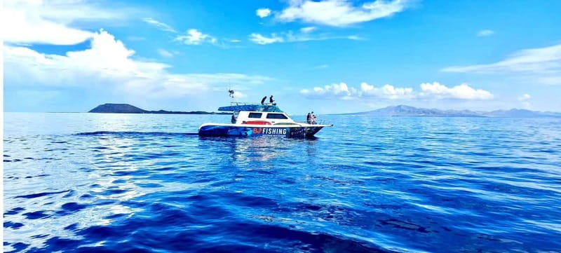 Fuerteventura: Dolphin watching and Lobo Island Combo Cruise - What the boat and crew add to the day