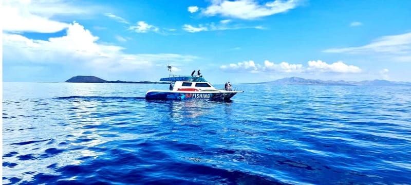 Fuerteventura: Dolphin watching and Lobo Island Combo Cruise - Practical tips for a better departure