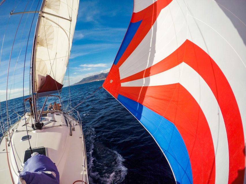 Fuerteventura: Sailing with Snorkeling and Dolphin Watching - Tapas, local drinks, and a relaxed return