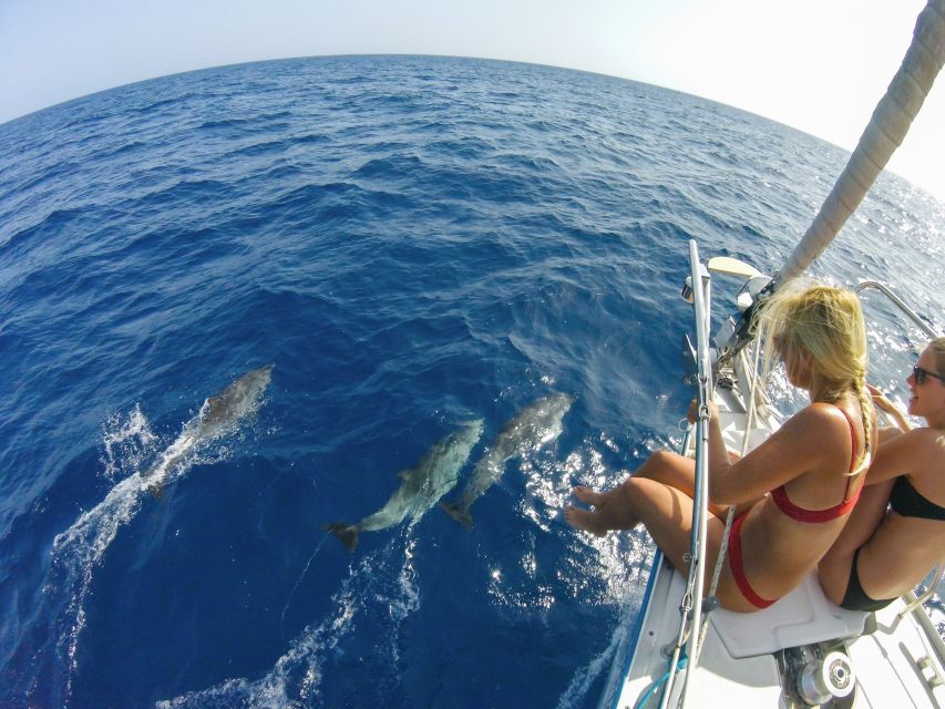 Fuerteventura: Sailing with Snorkeling and Dolphin Watching - Practical tips for a better day