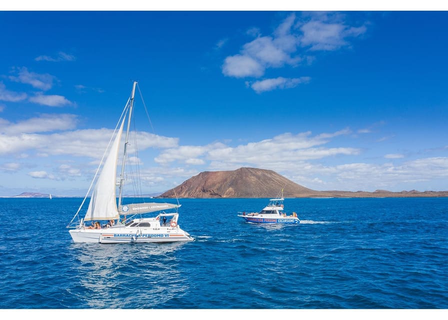 Fuerteventura: Whale & Dolphin Watching Boat Tour with Guide - Searching the Atlantic between two islands