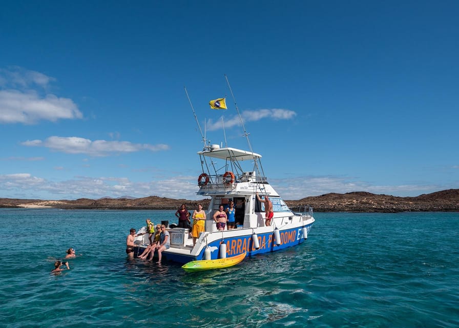 Fuerteventura: Whale & Dolphin Watching Boat Tour with Guide - Dolphins, pilot whales, and the luck factor