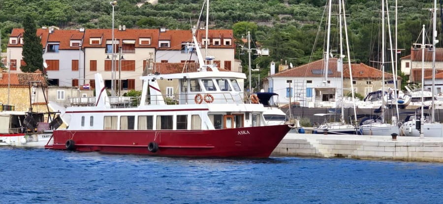 Full day boat-trip Medulin, blue Cave, Cres + dolphin search - Who should book this day at sea