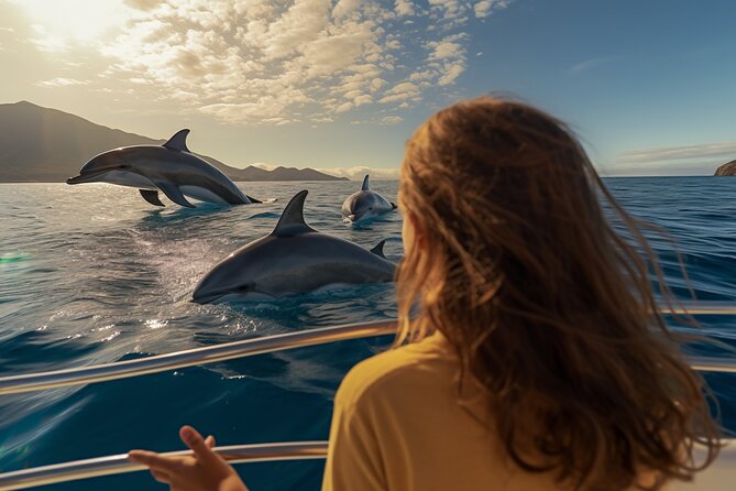Full day Dhow: Khasab, Musandam: Dolphins, Snorkeling & Fjords - Key points at a glance