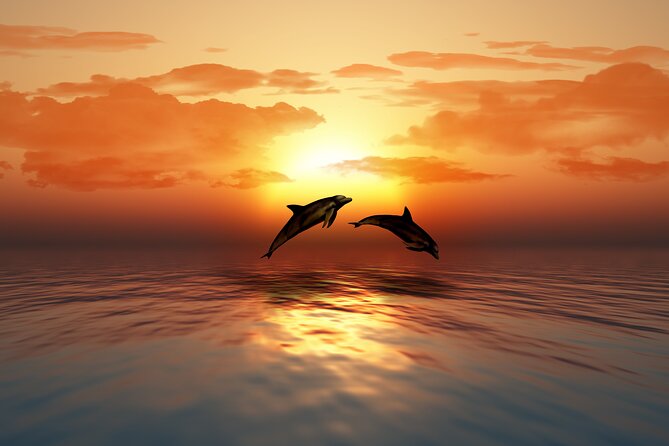 Full day Dhow: Khasab, Musandam: Dolphins, Snorkeling & Fjords - Telegraph Island and Seebi Island