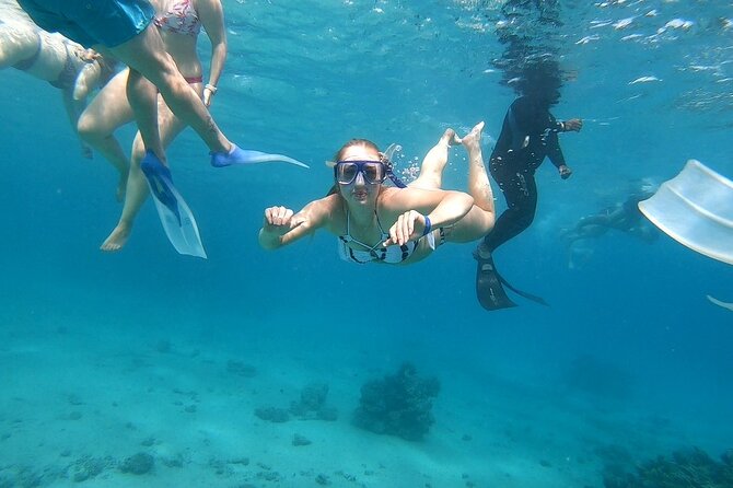 Full-day Dolphin House And Swim With Dolphin - Who should book this Hurghada excursion?