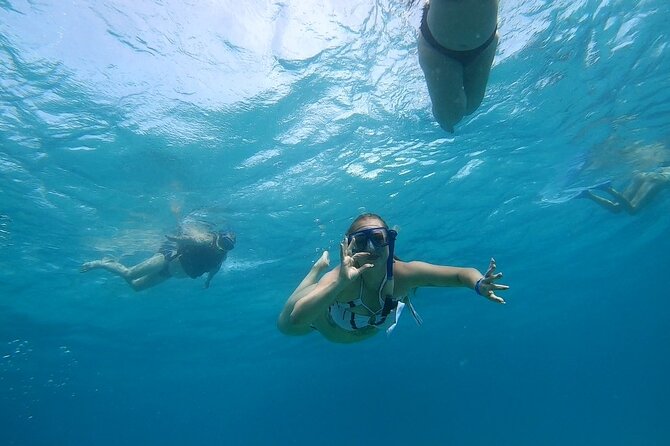 Full-day Dolphin House And Swim With Dolphin - Searching for dolphins at Dolphin House