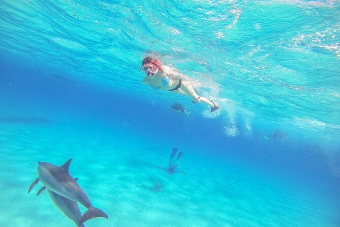 Full-Day Dolphin House from Hurghada - Snorkeling at two Red Sea sites