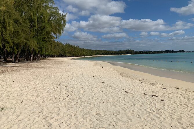 Full-Day Dolphin Watching Cruise in Mauritius - Tamarin Bay is the reason to go