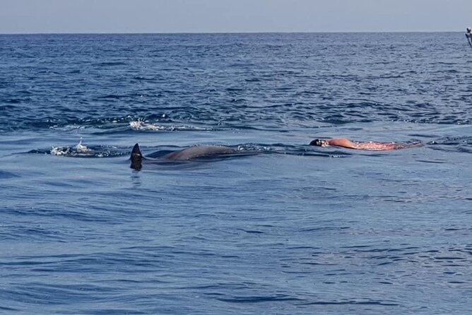 Full-Day Dolphin Watching Cruise in Mauritius - Timing, pickup, and what to bring