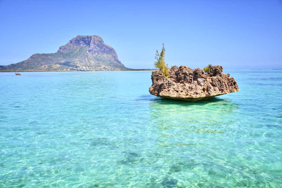 Full Day Dolphins Watching Ile aux Benitiers & Crystal Rock - Speedboat views along the southwest coast