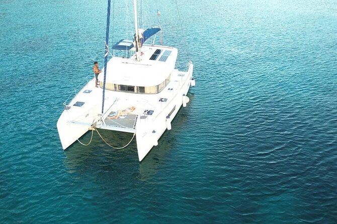 Full day EN Catamaran Martinique Dolphins and Turtles - Key points to know before booking