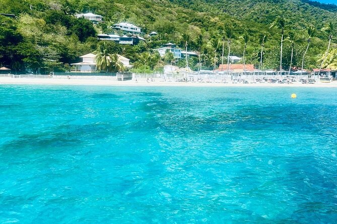 Full day EN Catamaran Martinique Dolphins and Turtles - Grande Anse and the green turtles