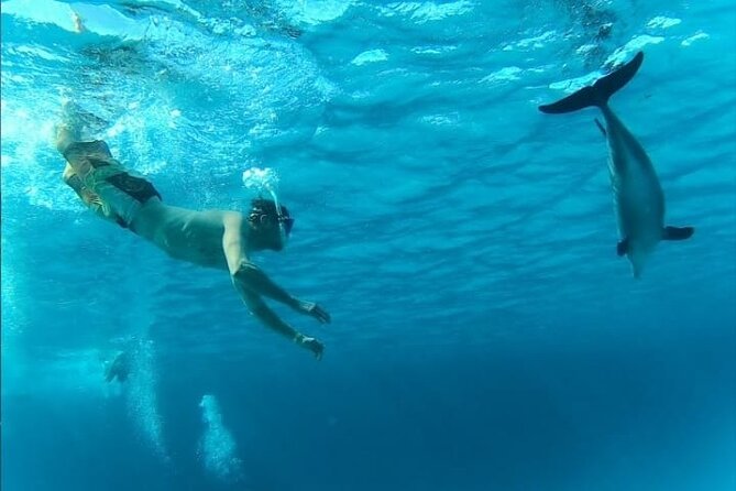 Full-Day Experience with Dolphins and Snorkeling in Red Sea - Is $32.16 good value?