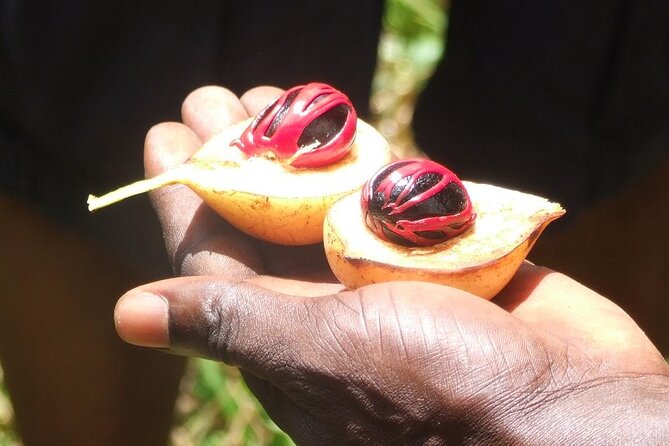 Full-Day Guided private Dolphins tour+ Monkeys + Stone town &spice Farm Zanzibar - Three hours among Stone Town’s old streets