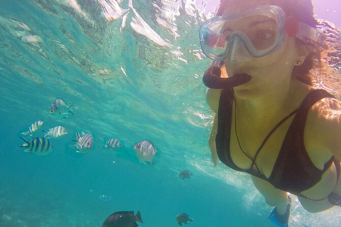 Full - Day Private Zanzibar Tour with dolphins & Sunset Beach - Dolphins and snorkeling: set fair expectations