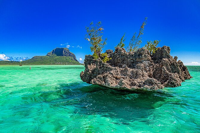 Full day Shared Speedboat Tour - South West Lagoon Dolphin Swim - What $106 buys you